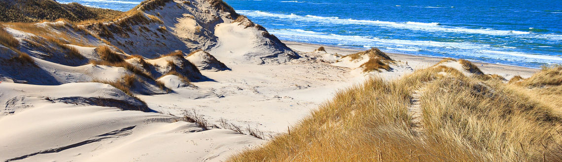 Dunes at the northern sea near Skagen, Denmark Dunes at the northern sea near Skagen, Denmark